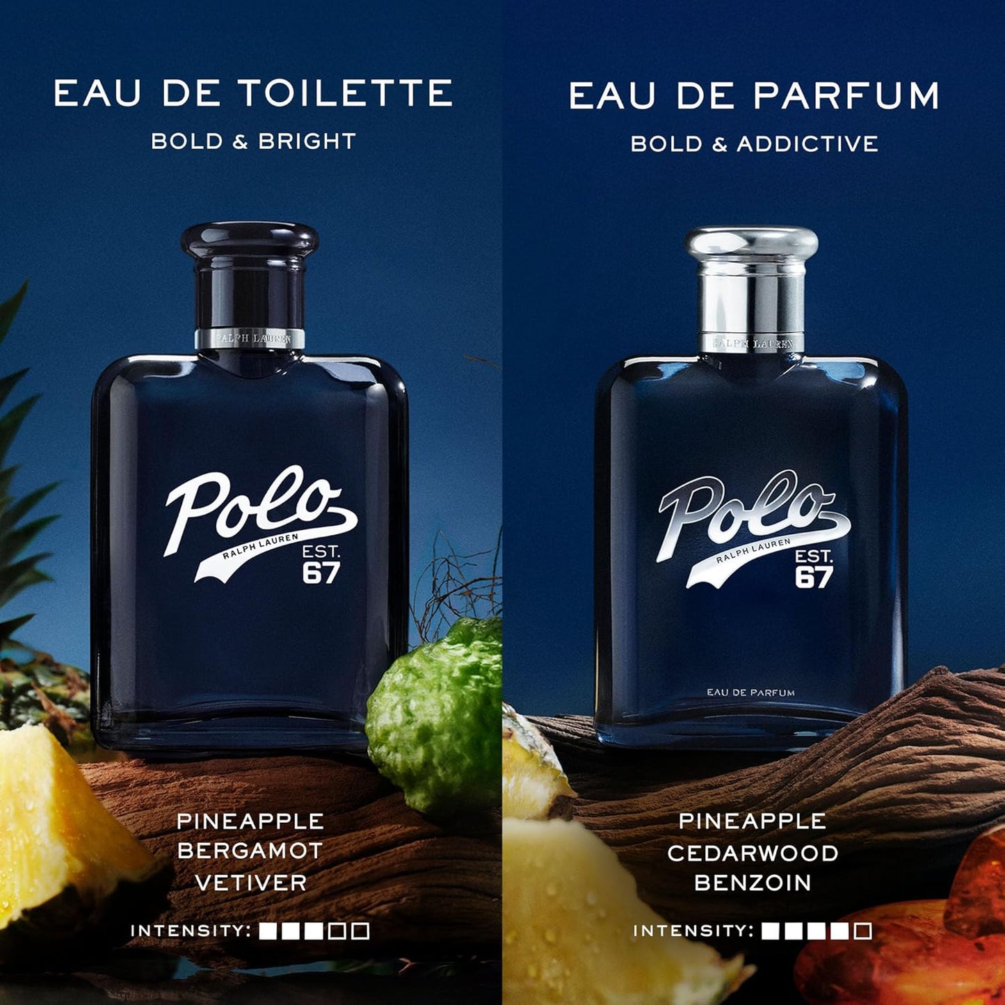 Ralph Lauren - Polo 67 - Eau De Parfum - Woody Scent - with Pineapple, Cedarwood & Benzoin - Cologne for Men
